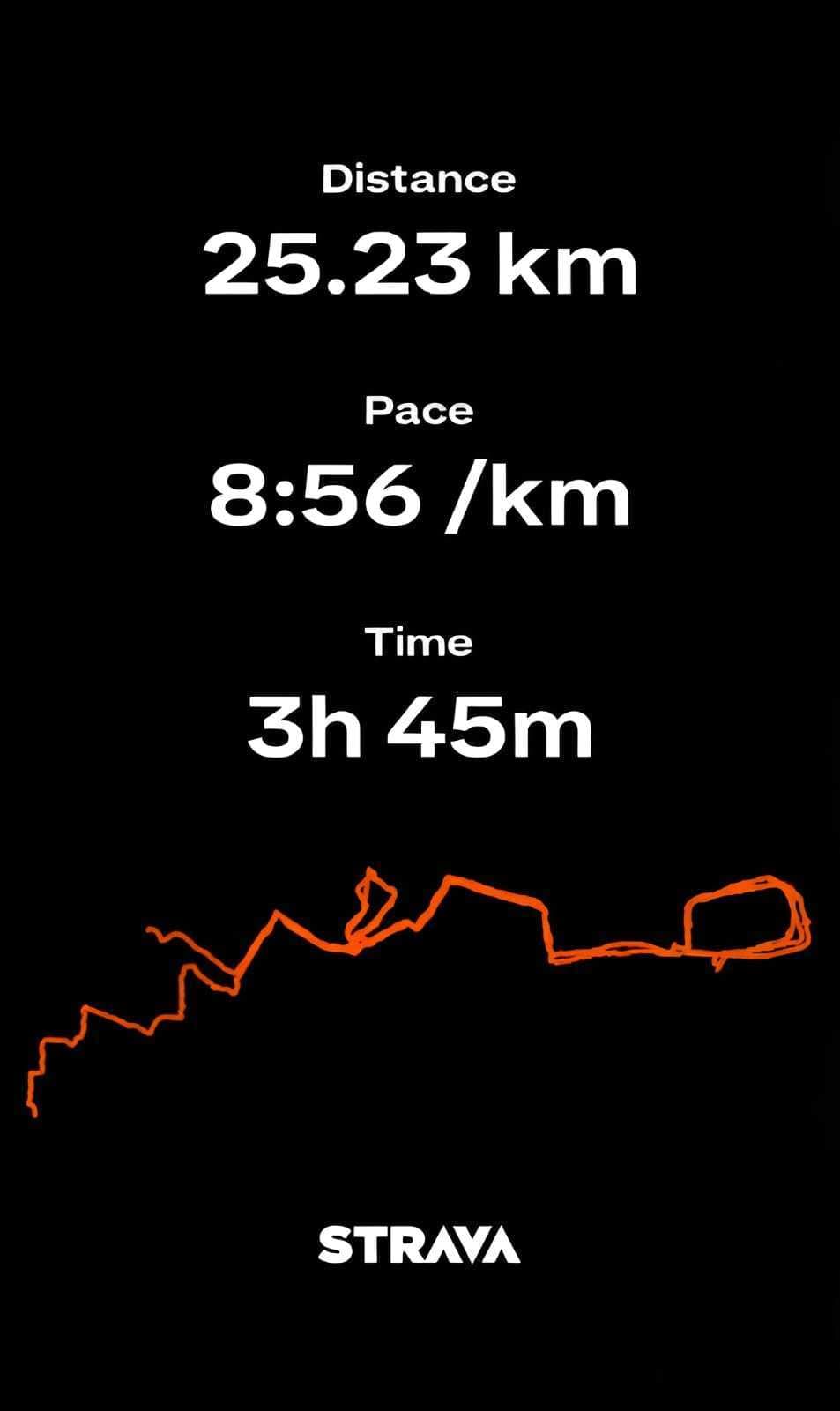 Strava run — 25.23 km